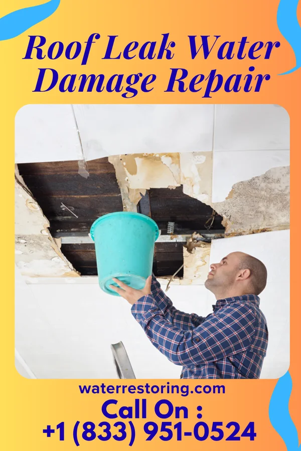 Roof Leak Water Damage Repair in Goodwater, AL